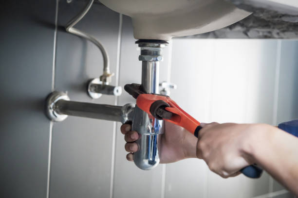 Best Clogged Drain Plumber  in Avilla, IN